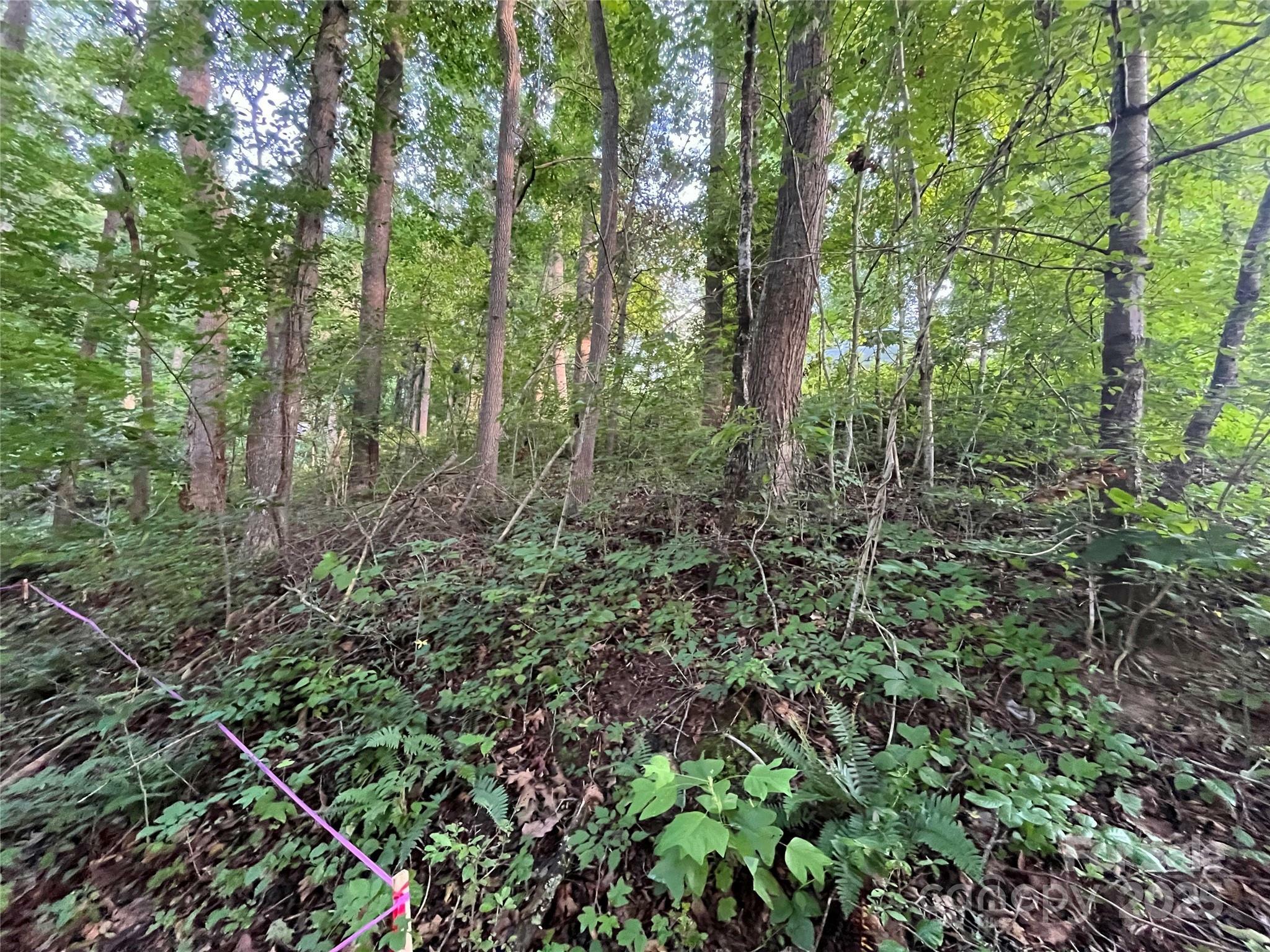 Property Photo: 48 Northside Drive NC 28804
