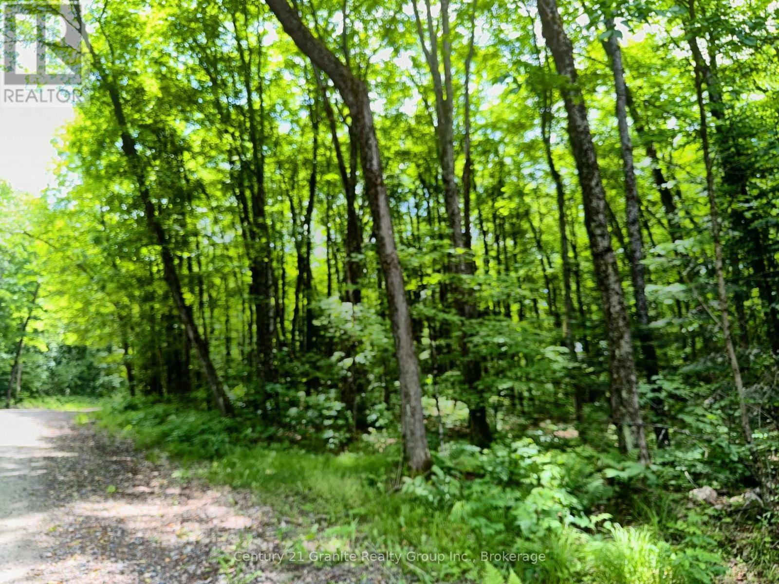 Property Photo:  0 Loon Lake Road  ON K0M 1S0 