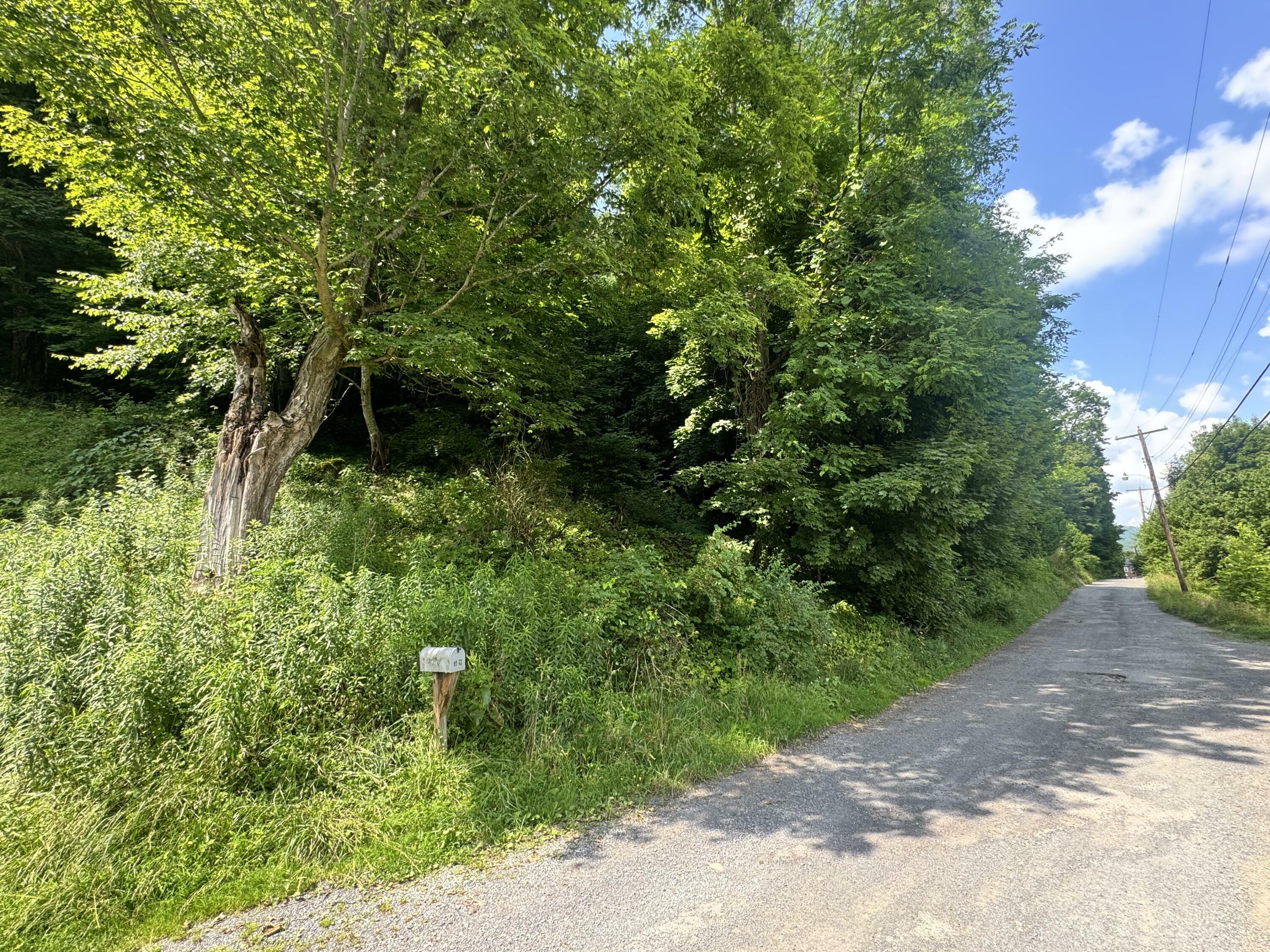 Property Photo: 56 Maple St WV 26261