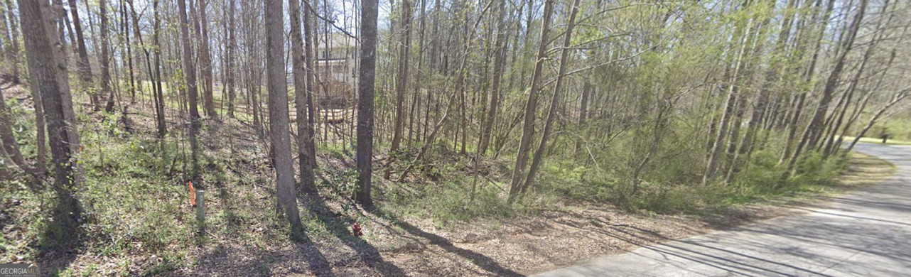 Property Photo: 0 Cambridge Lane GA 30110