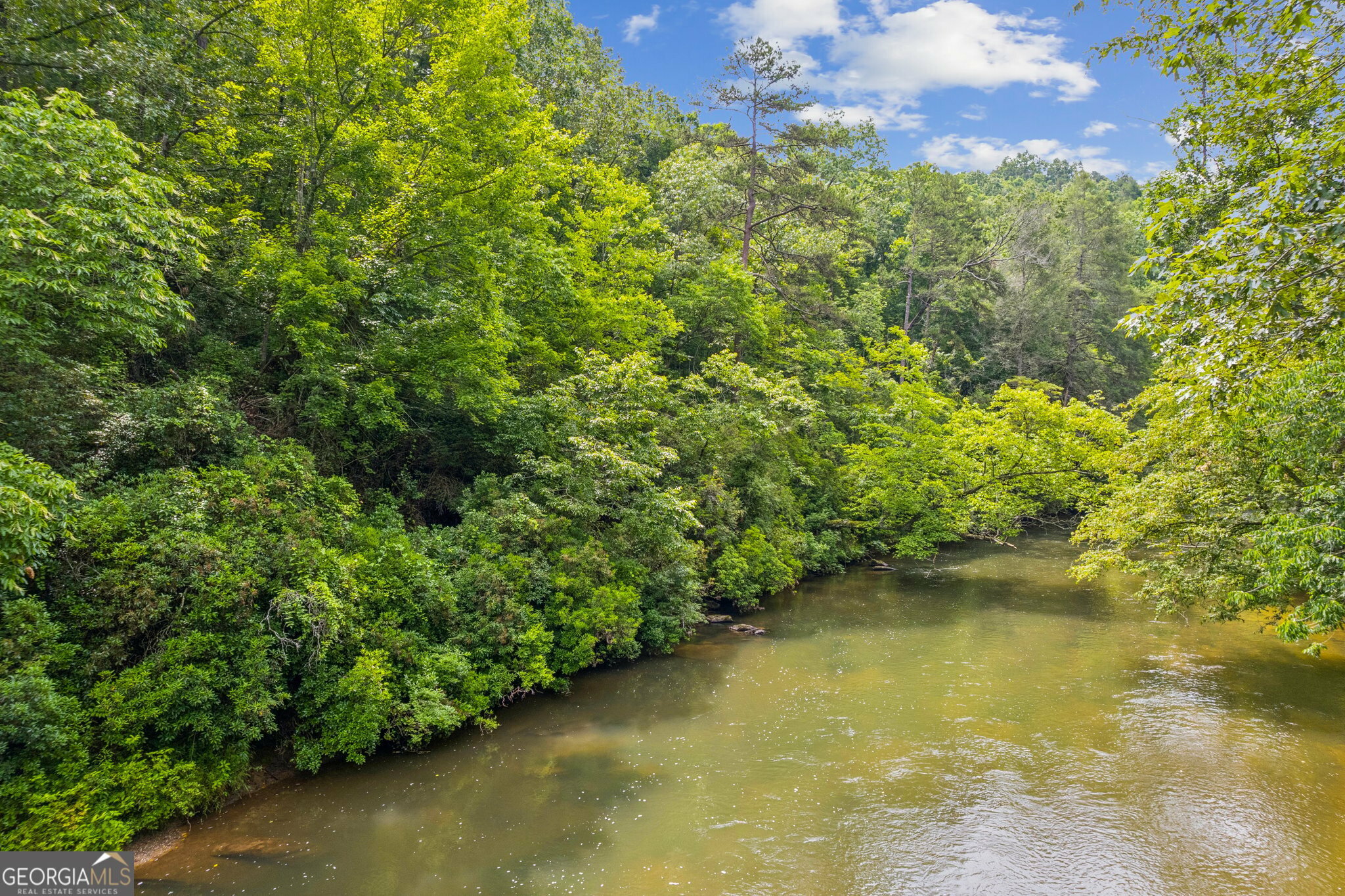 Property Photo: Lot 6 Riverfront Drive GA 30536