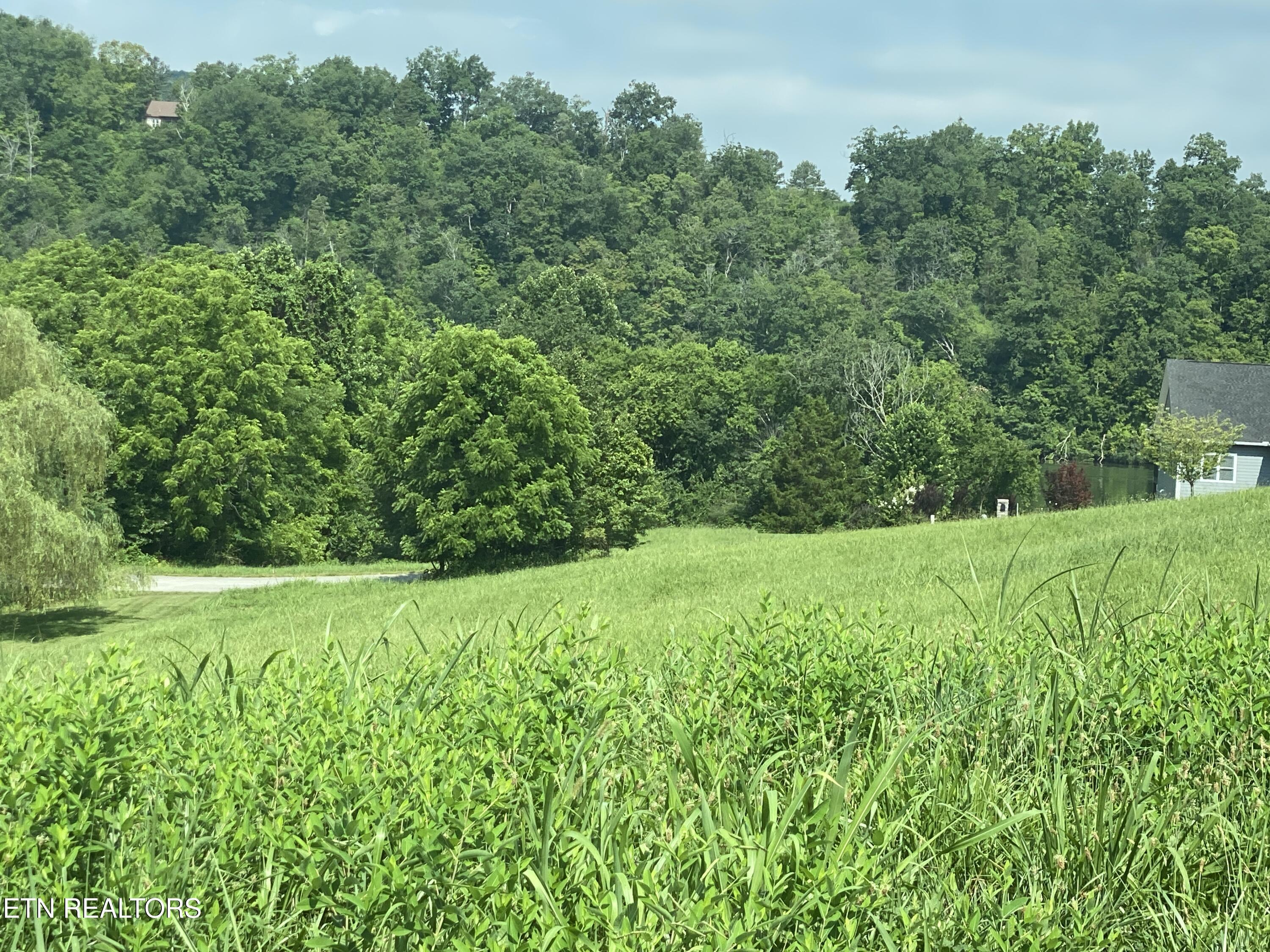 Property Photo: Lot 5 Marble Bluff Drive TN 37763