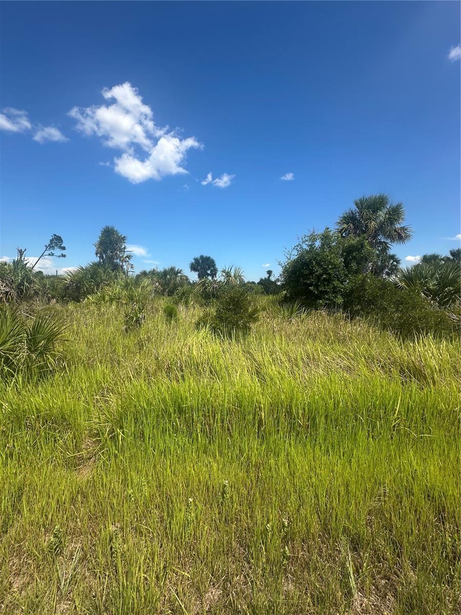 Property Photo: Boskoop Road FL 34288