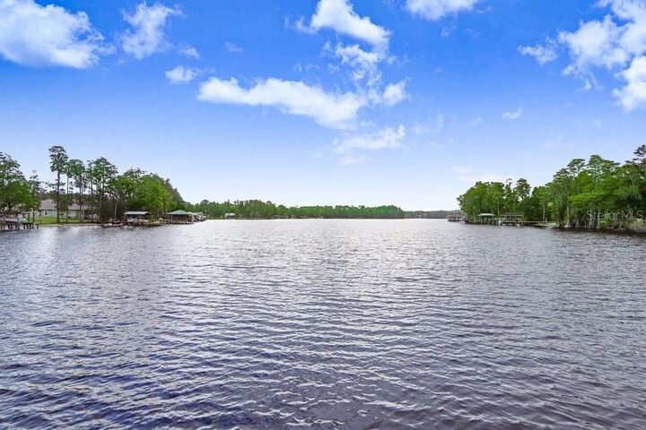 Property Photo:  8903 Donna Lu Drive  FL 33556 