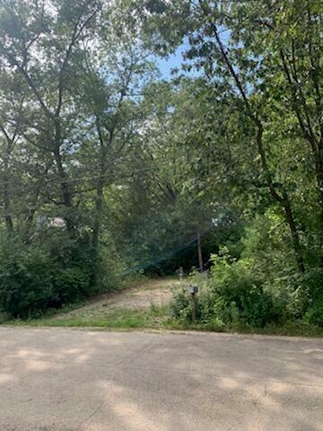 Property Photo: Lt5 3rd Ave WI 53158