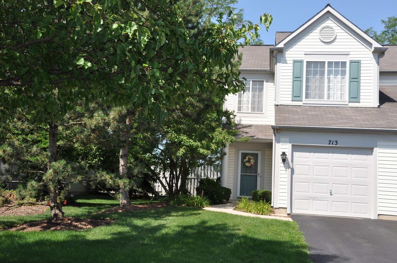 Property Photo: 713 Blossom Court IL 60540