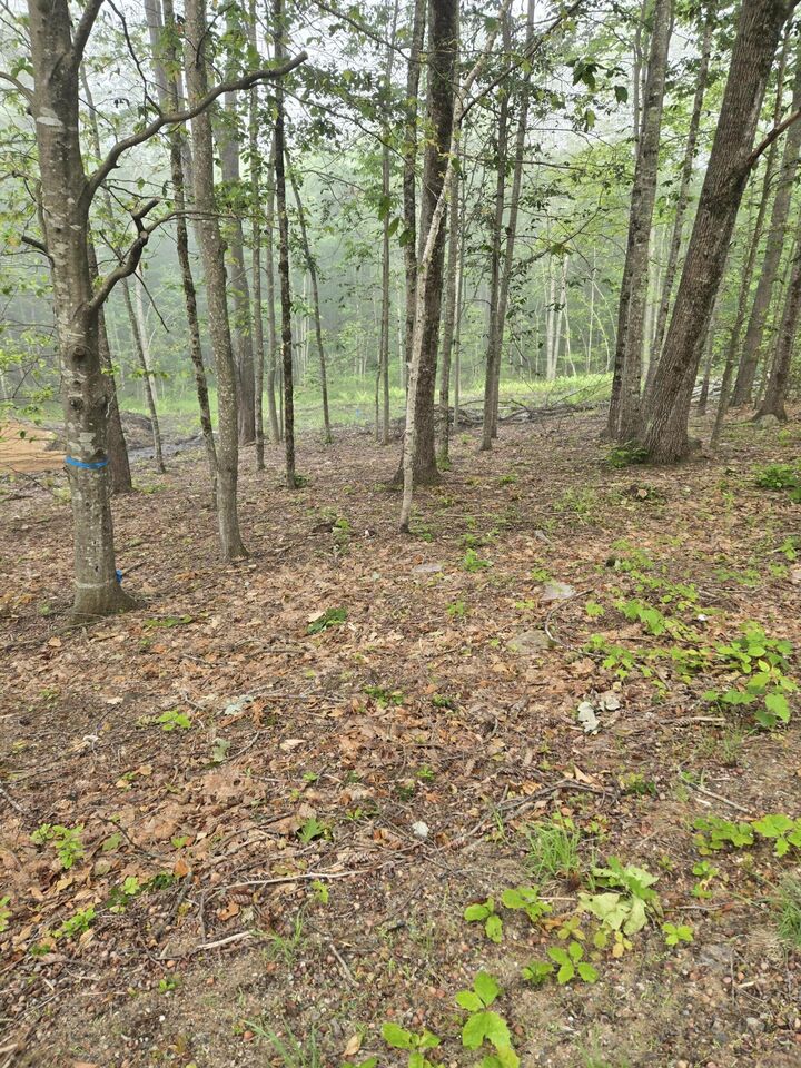 Property Photo:  00 Lebanon Road  ME 03906 
