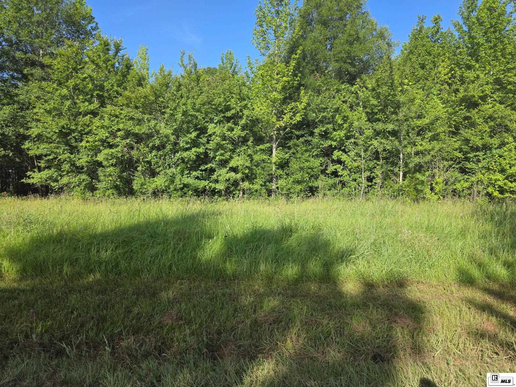 Property Photo: Lot 20 Tarver Road LA 71259