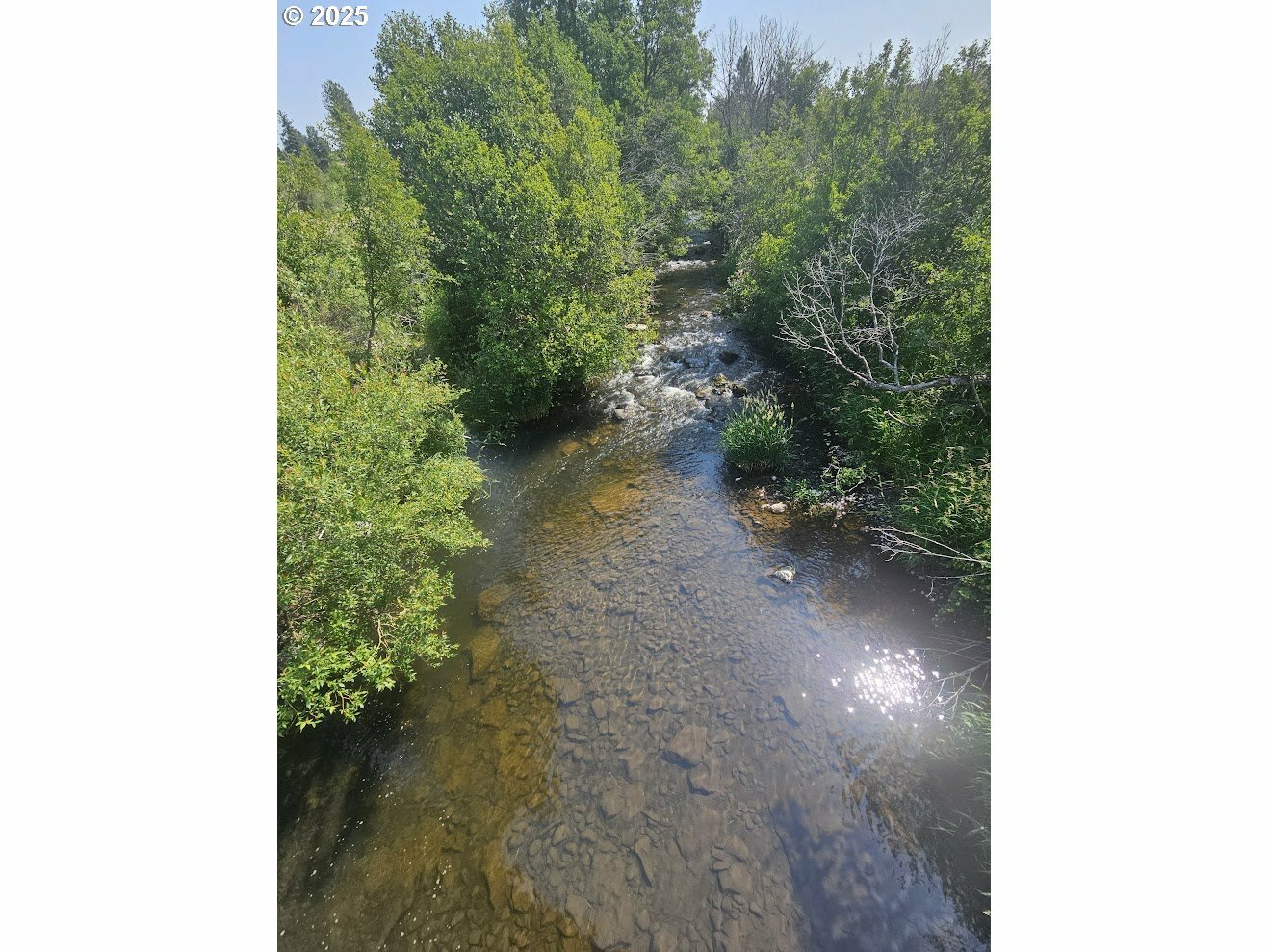 Property Photo: Olson Rd WA 98613