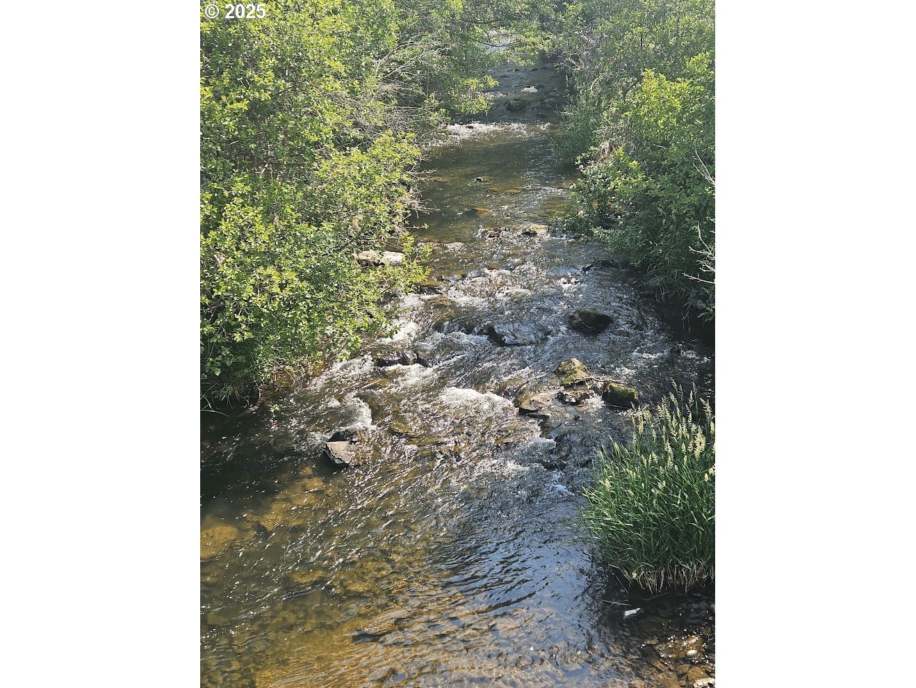 Property Photo:  Olson Rd  WA 98613 