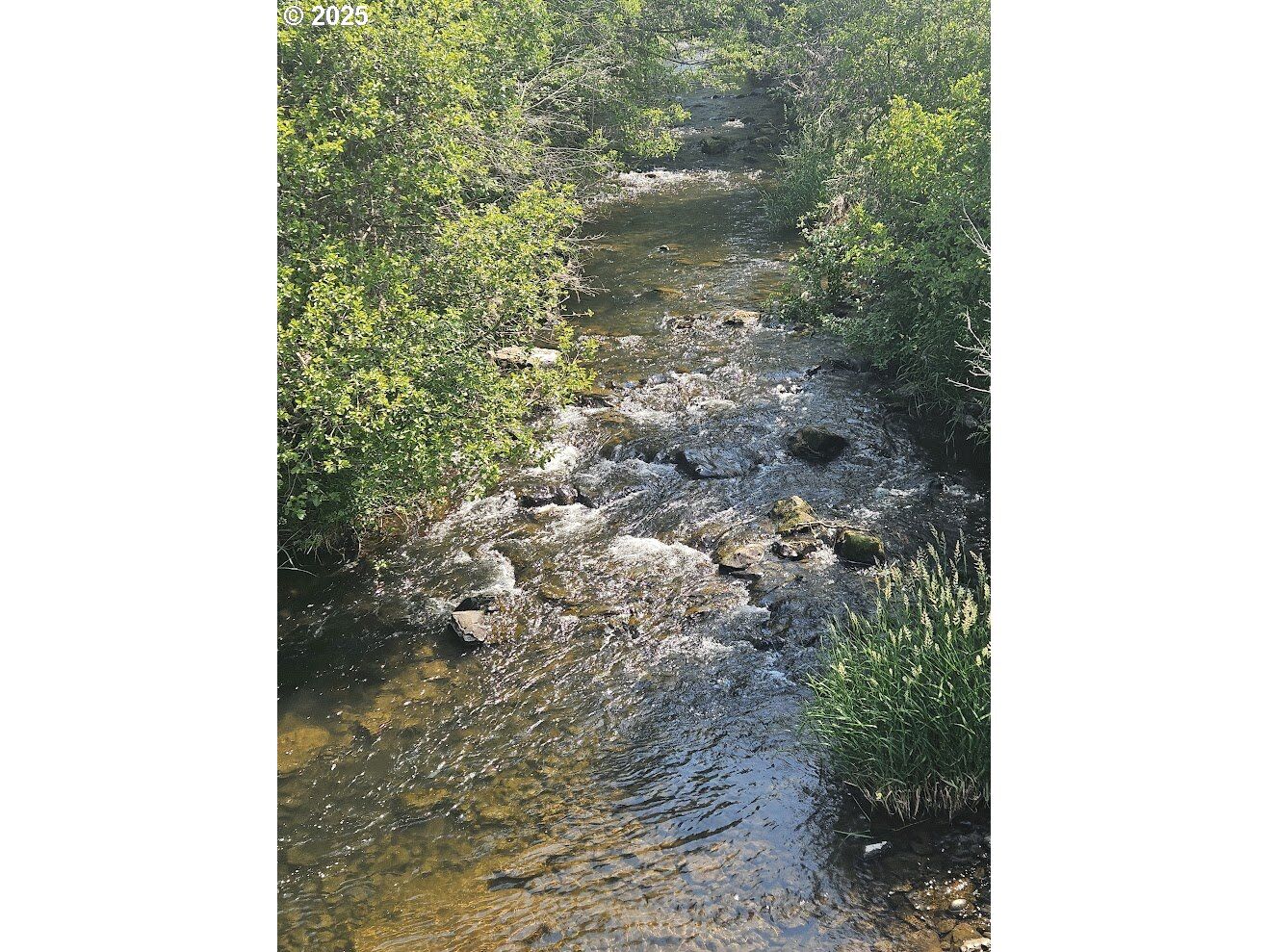 Property Photo:  Olson Rd  WA 98613 