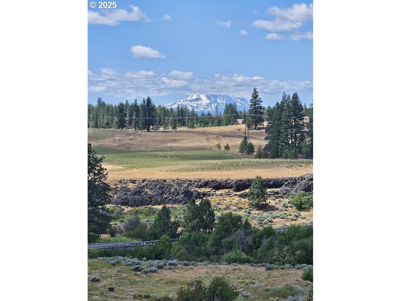Property Photo: Olson Rd WA 98613