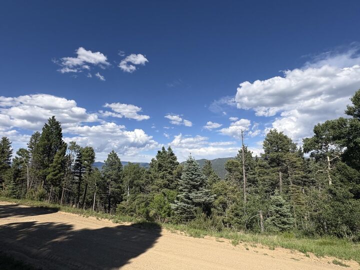 Property Photo: Lot 103 Zia Rd NM 87710