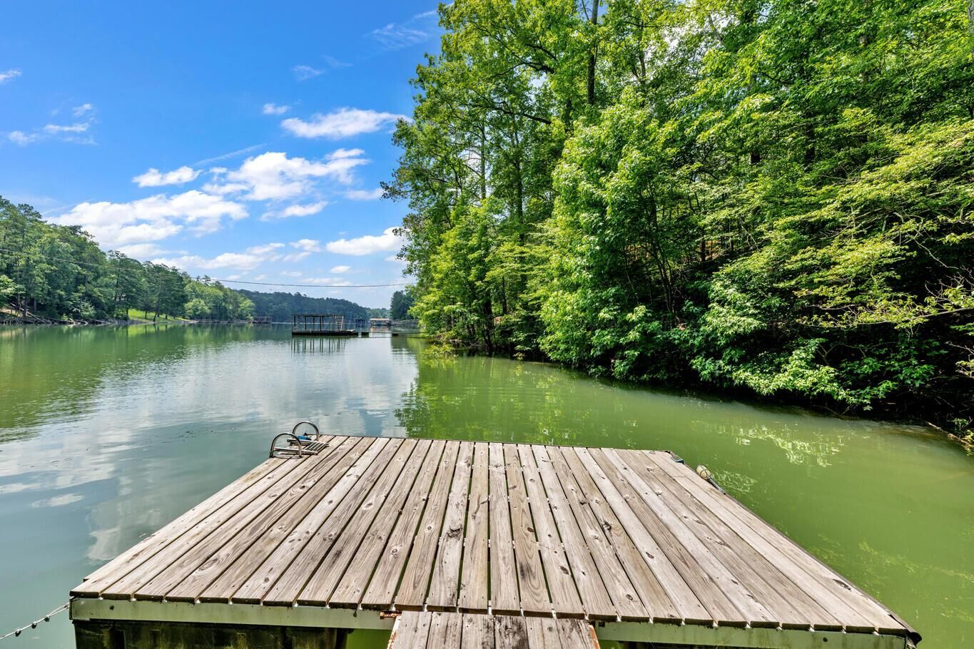 Property Photo:  176 County Rd 250  AL 35572 