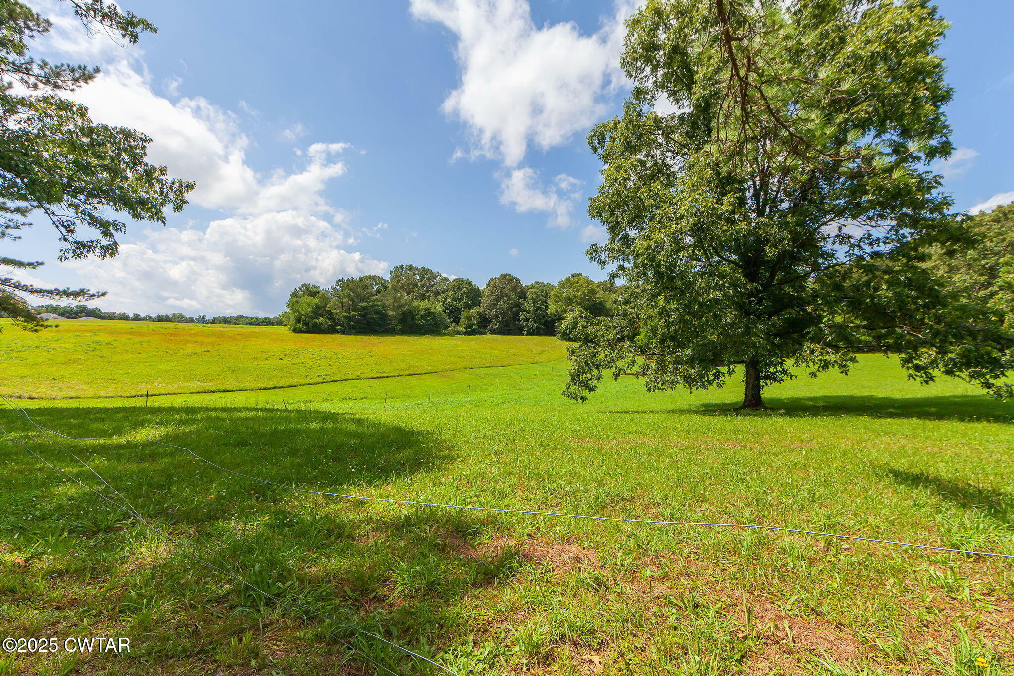 Property Photo: 6495 Tn-100 TN 38340