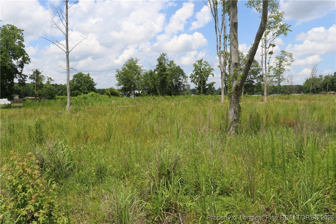 Property Photo: Hwy 211 E NC 28358