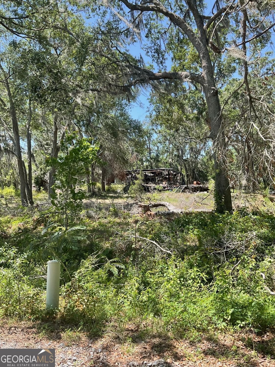 Property Photo: 3180 Triple Lake Road GA 31601