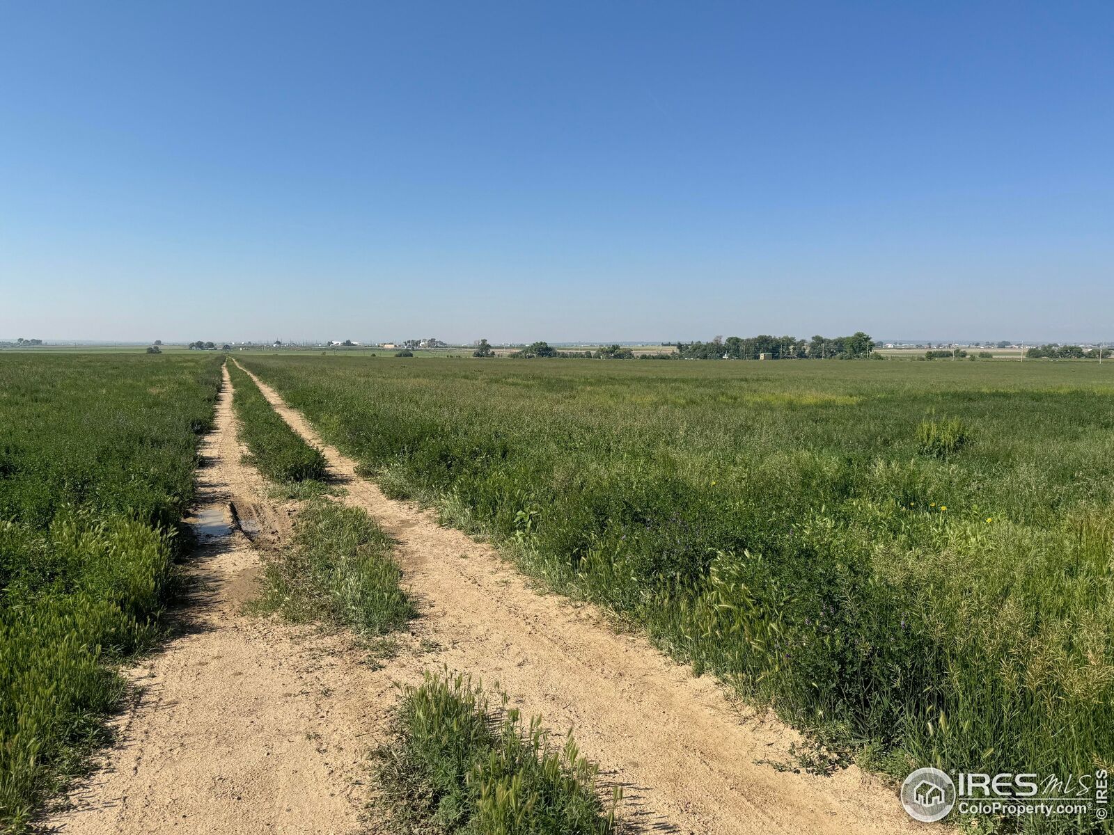 Property Photo: County Road 70 CO 80615