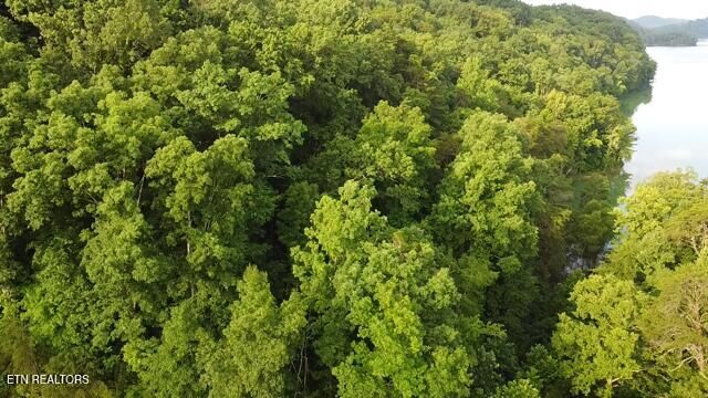 Property Photo:  Lot 13 Woodland Creek Drive  TN 37725 