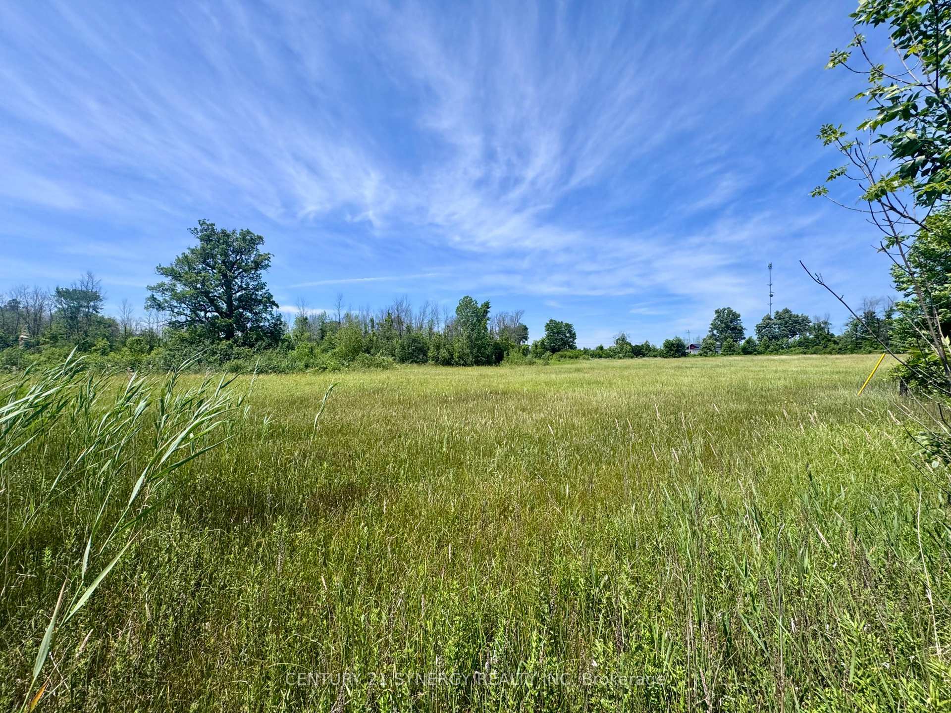 Photo de la propriété: 00 County Road 8 Road E ON K0E 1Y0