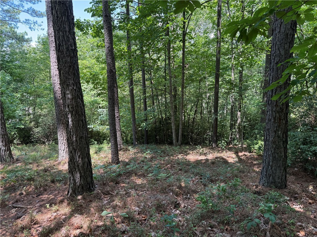 Property Photo:  126 River Ridge Road  SC 29685 