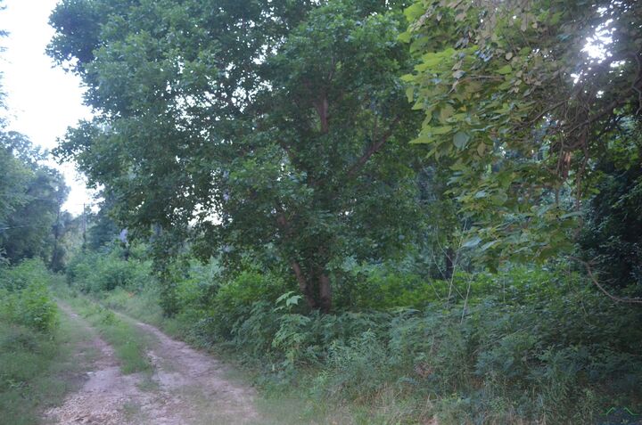 Property Photo: 150 Rose Street TX 75682