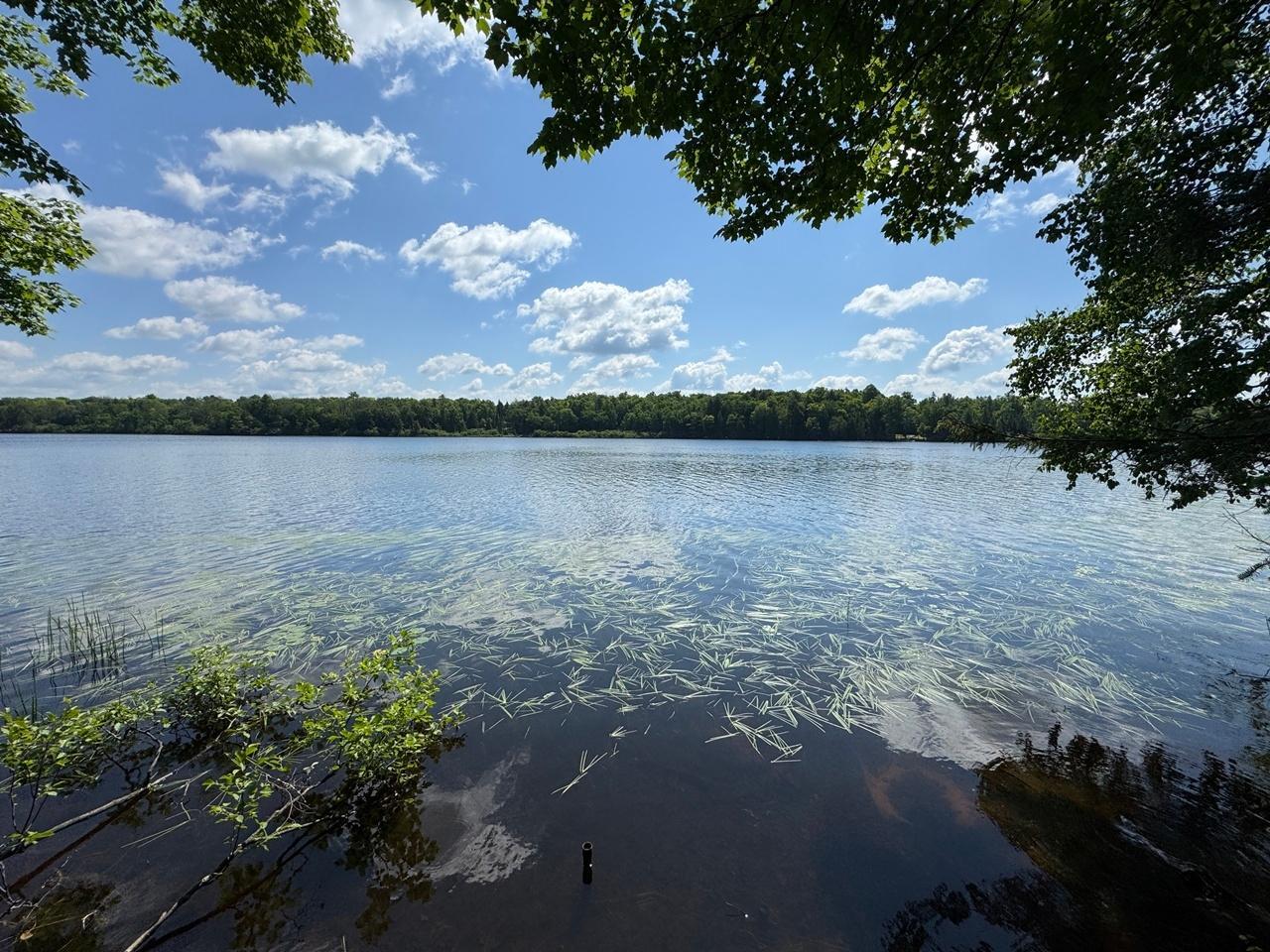 Property Photo: 7304N Fisher Pt Dr WI 54547