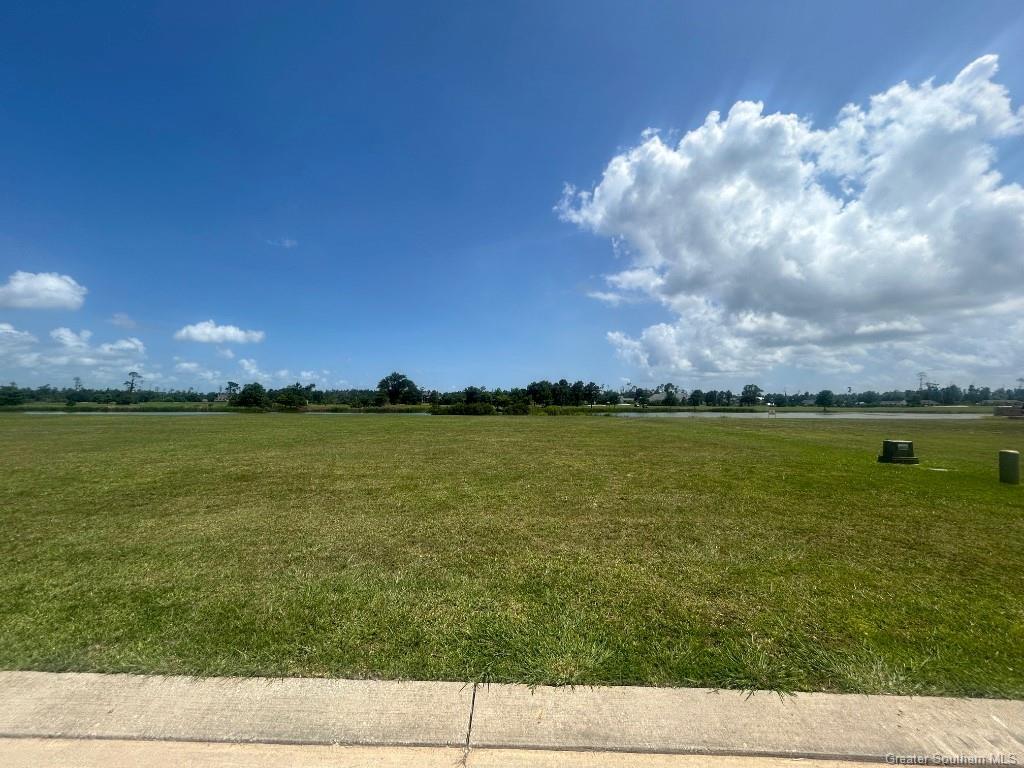 Property Photo: 14 Palmetto Drive LA 70605