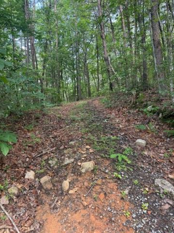 Property Photo: 10.96 Ac Paramount Trail GA 30536