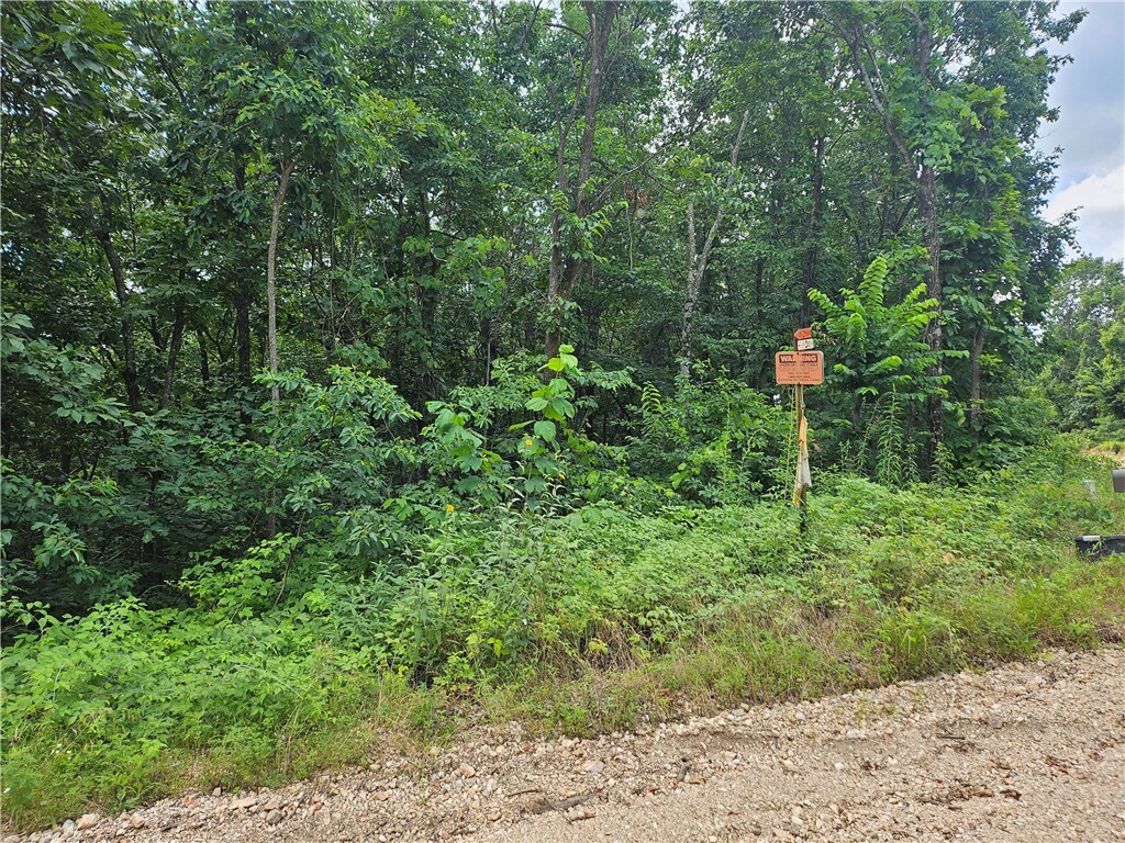 Property Photo: Tbd County Road 224 AR 72632
