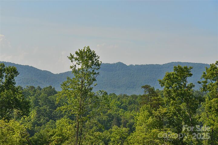 Property Photo: 46 Honeycomb Drive NC 28762