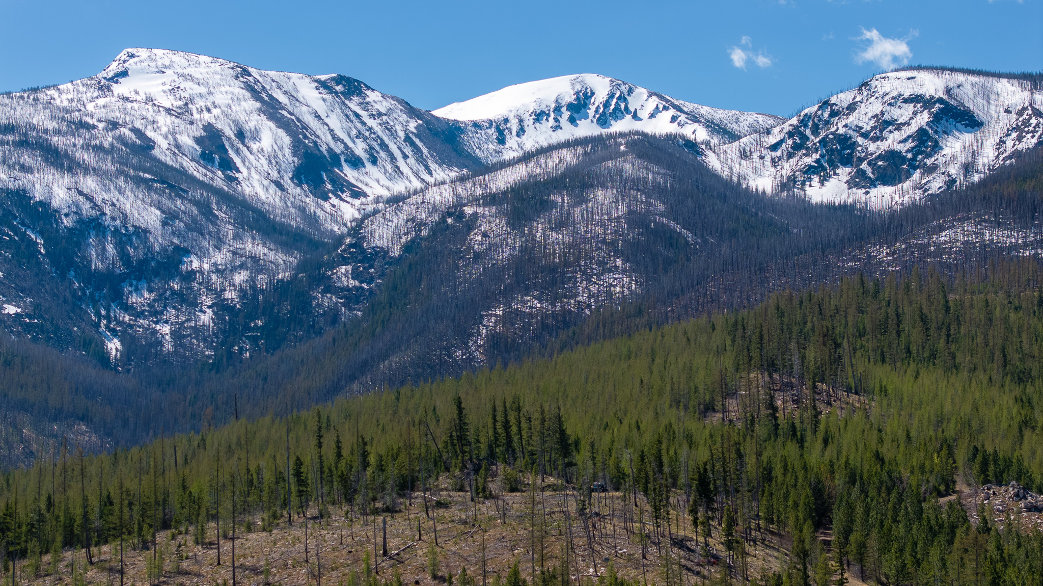 Property Photo: Lolo Peak Shadows MT 59847