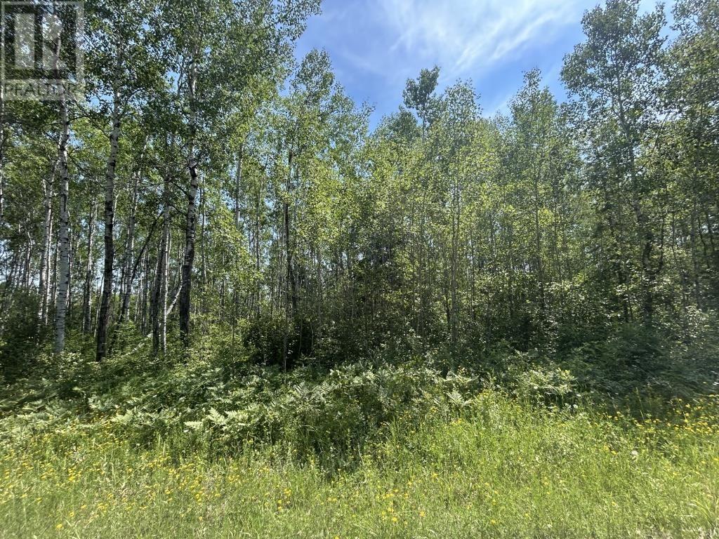 Property Photo:  Parcel 19523 Barnhardt Road  ON P0W 1E0 
