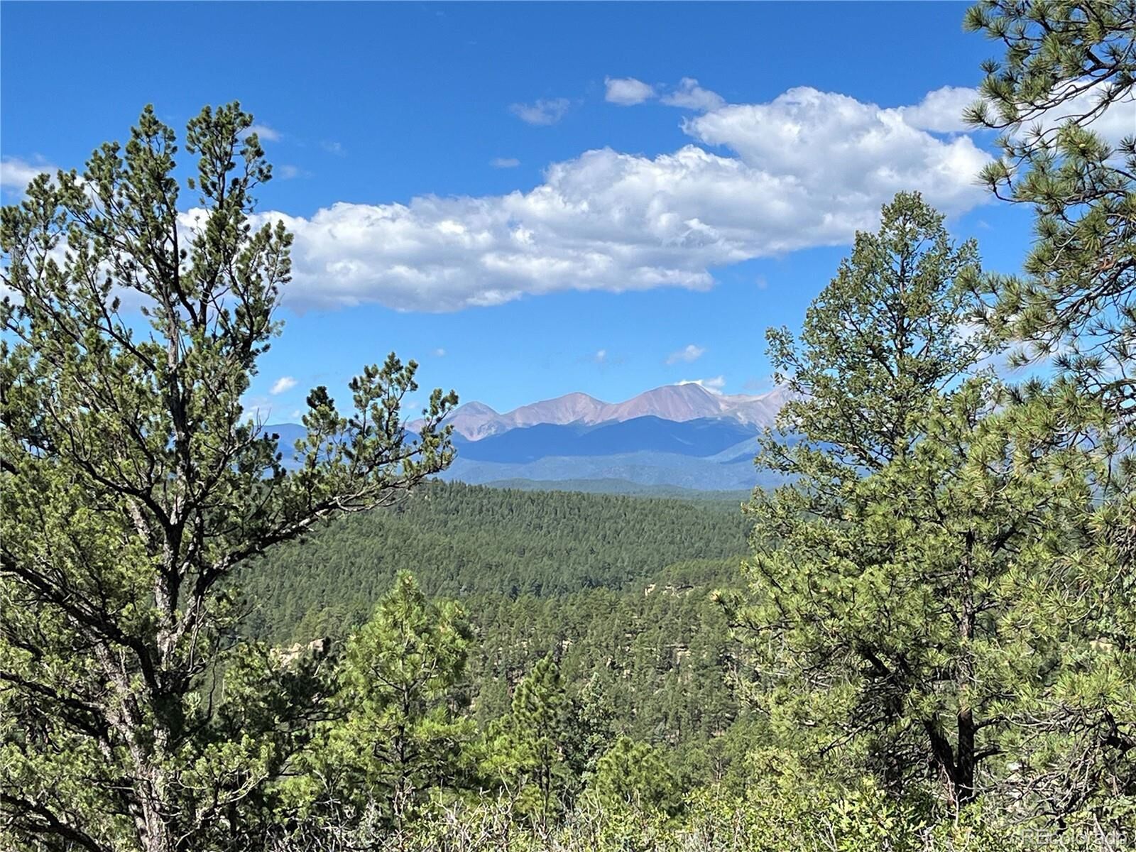 Property Photo: 14200 County Rd 28.8 CO 81091