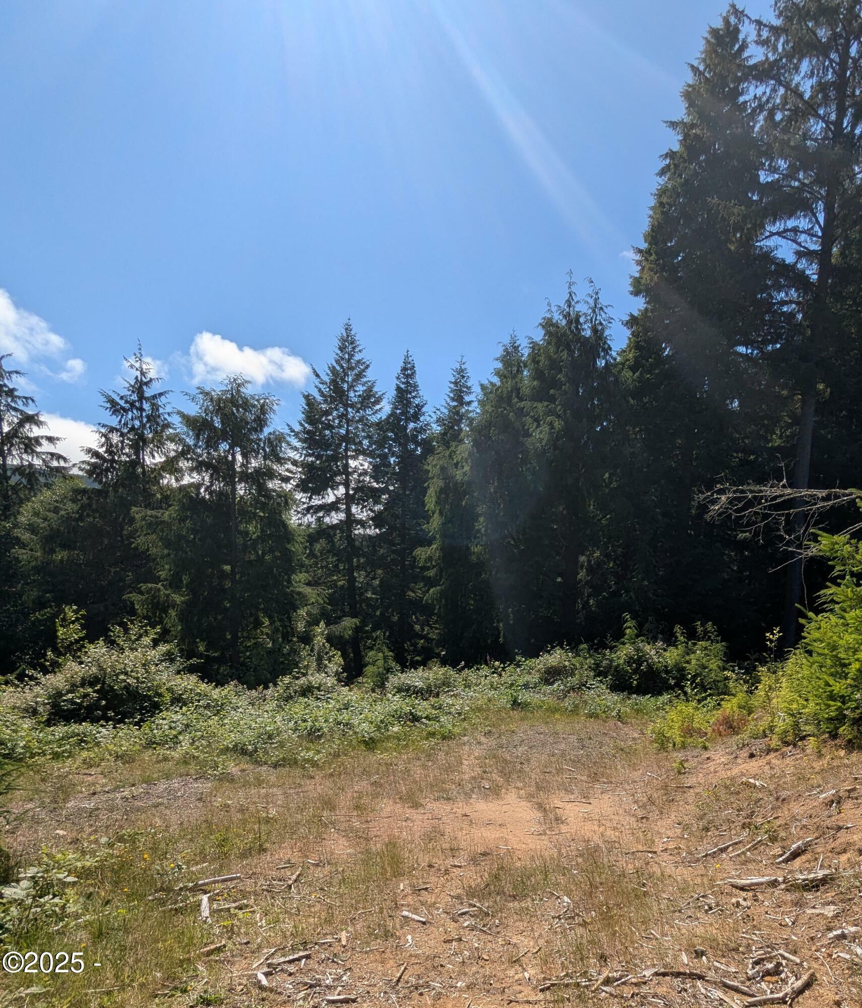 Property Photo: Tl 801 Siletz Highway OR 97367