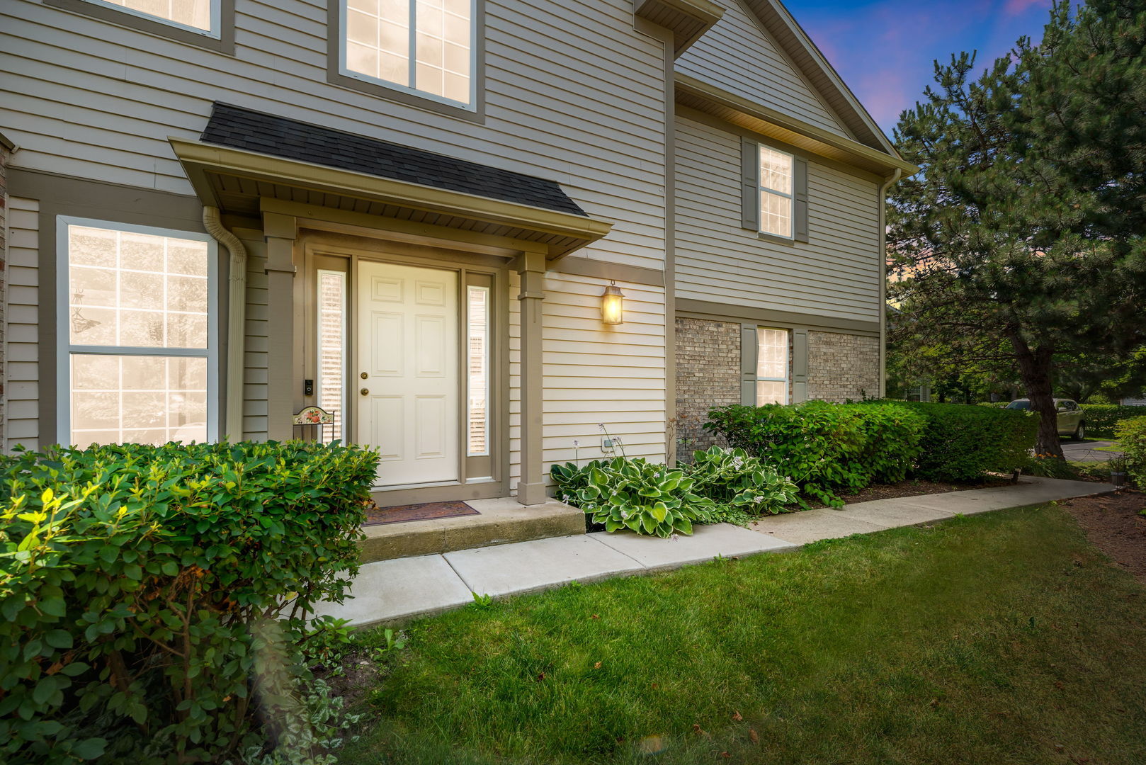 Property Photo: 2119 Ivy Ridge Drive 2119 IL 60192
