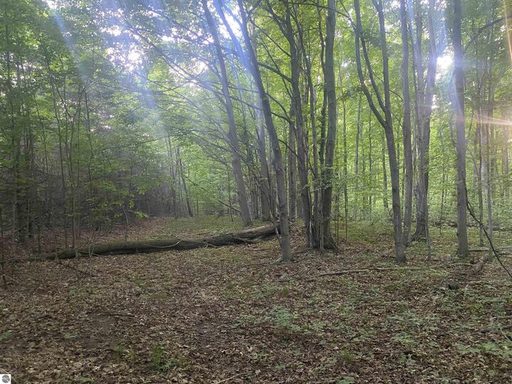 0 Wheeler Oaks Drive  Williamsburg MI 49690 photo