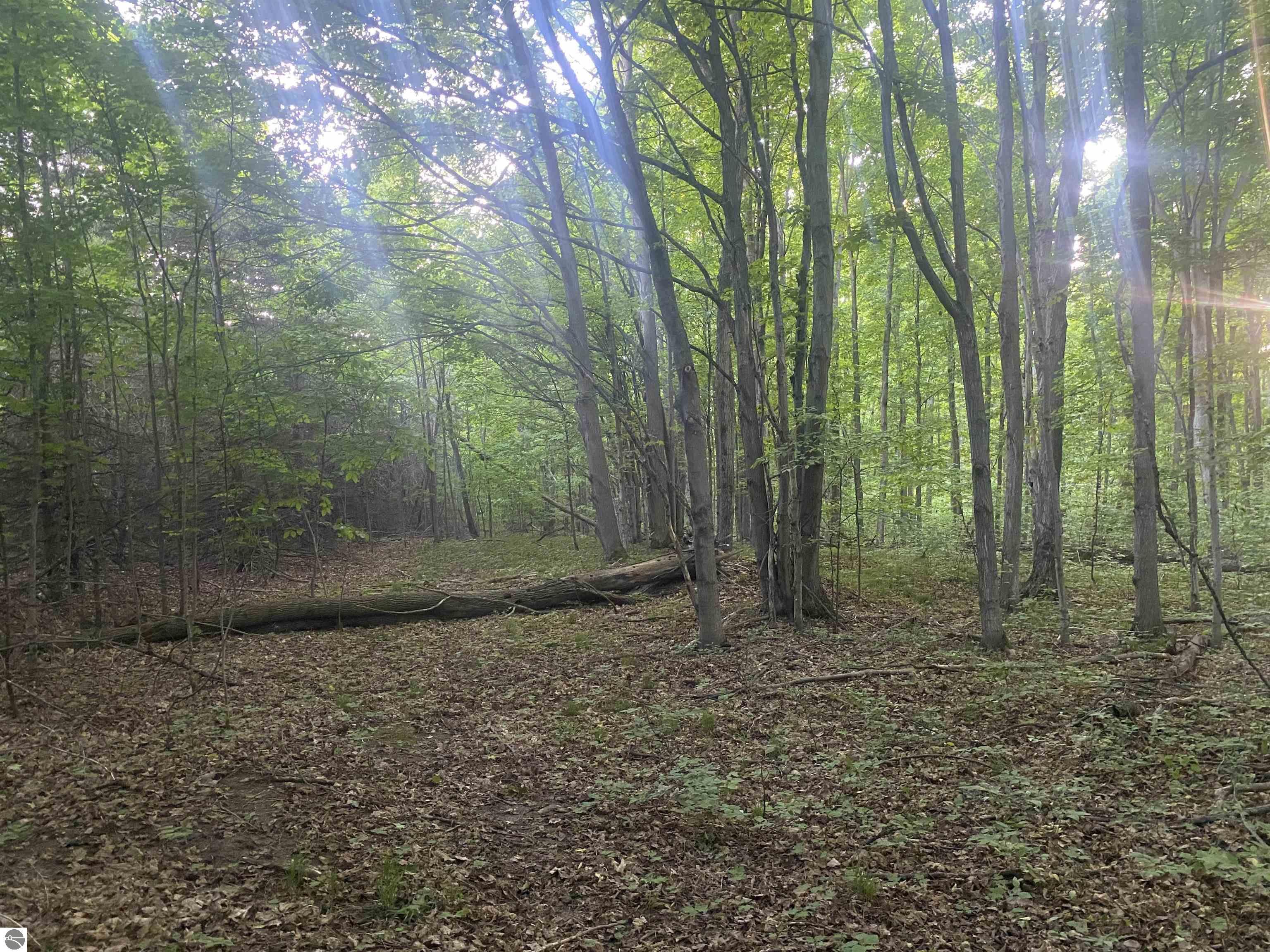 Property Photo: 0 Wheeler Oaks Drive MI 49690