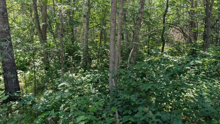 Property Photo:  Tbd 22nd Street SW  MN 56474 