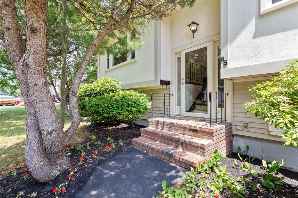 Property Photo: 65 Margery Road MA 02301