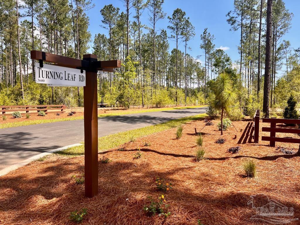 Property Photo:  Lot 99 Turning Leaf Rd  FL 32571 