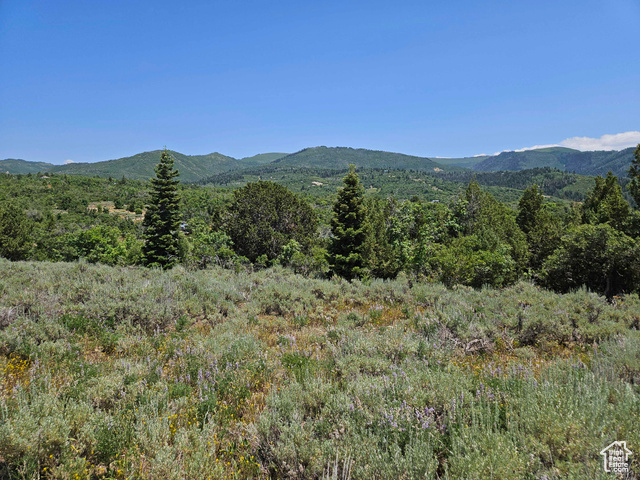 Property Photo: 157 E Wolf Hollow Rd S 157 UT 84629