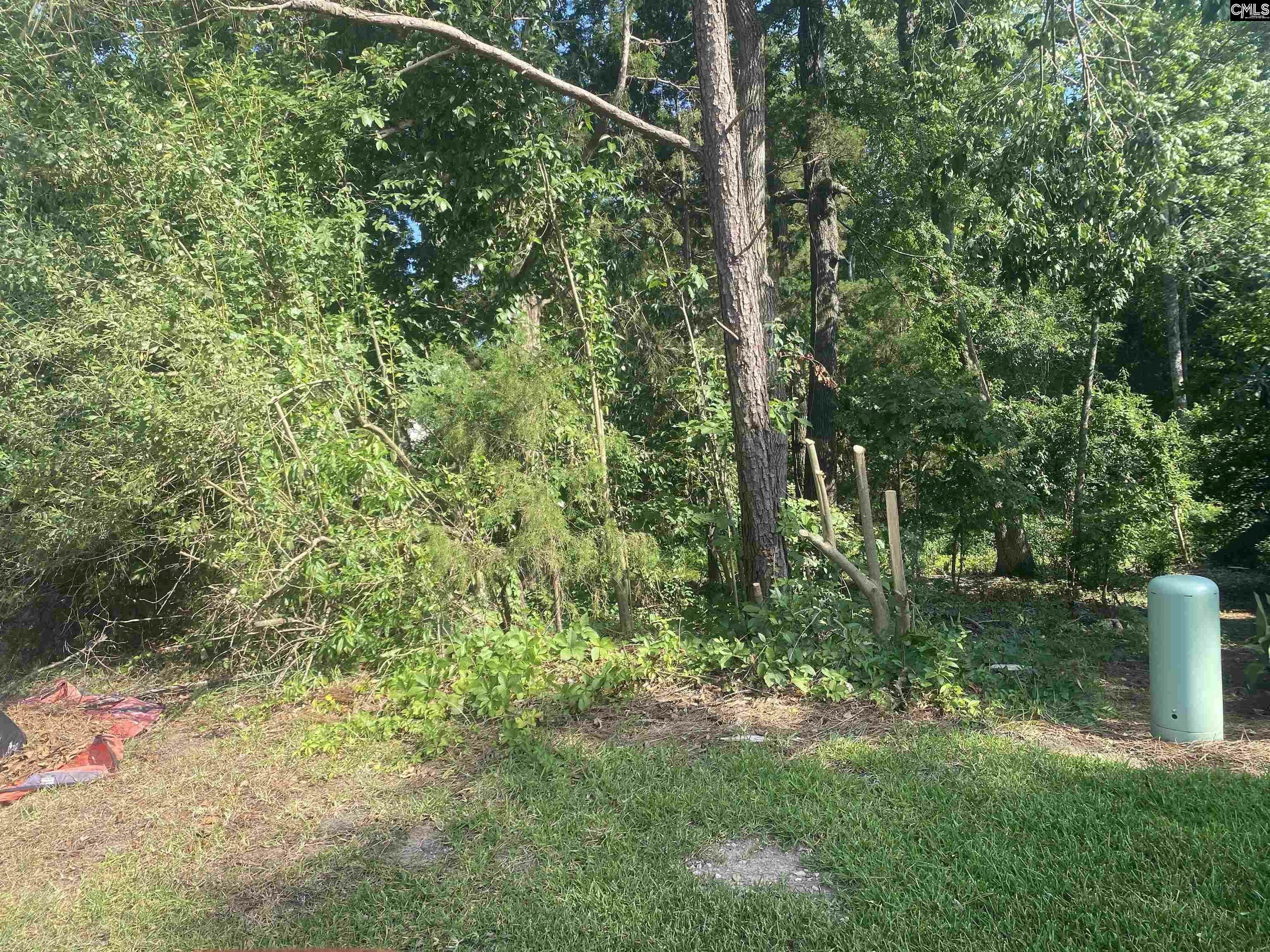 Property Photo: 115 Beacon Point SC 29063