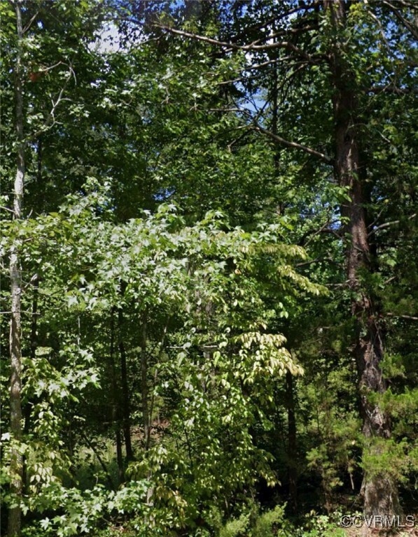 Property Photo: 0 New Line Road VA 23065