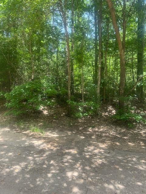 Property Photo: Lot 437 &Amp 438 Hidden Circle TX 77331