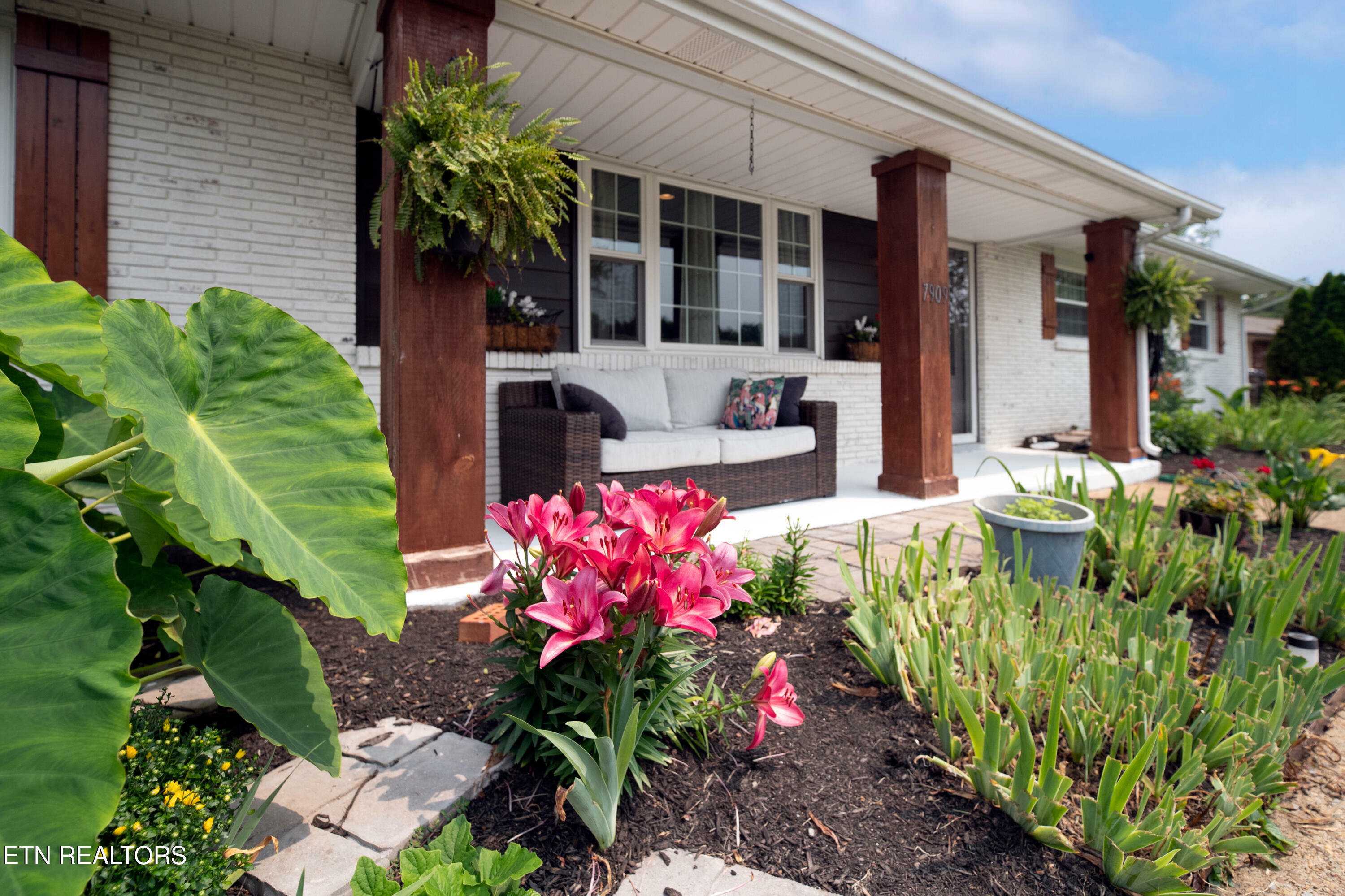 Property Photo: 7909 Livingston Drive TN 37919
