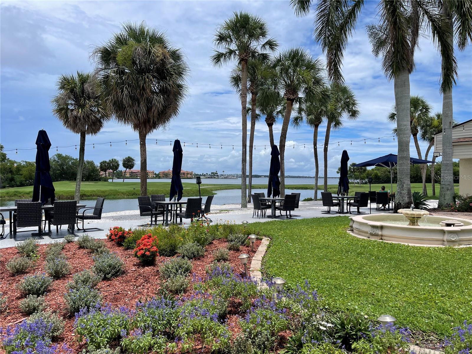 Property Photo: 2621 Cove Cay Drive 206 FL 33760