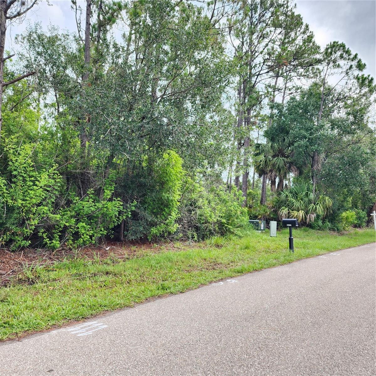 Property Photo: 23016 Delhi Avenue FL 33952