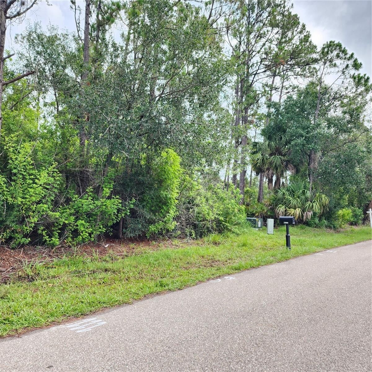 Property Photo:  23016 Delhi Avenue  FL 33952 