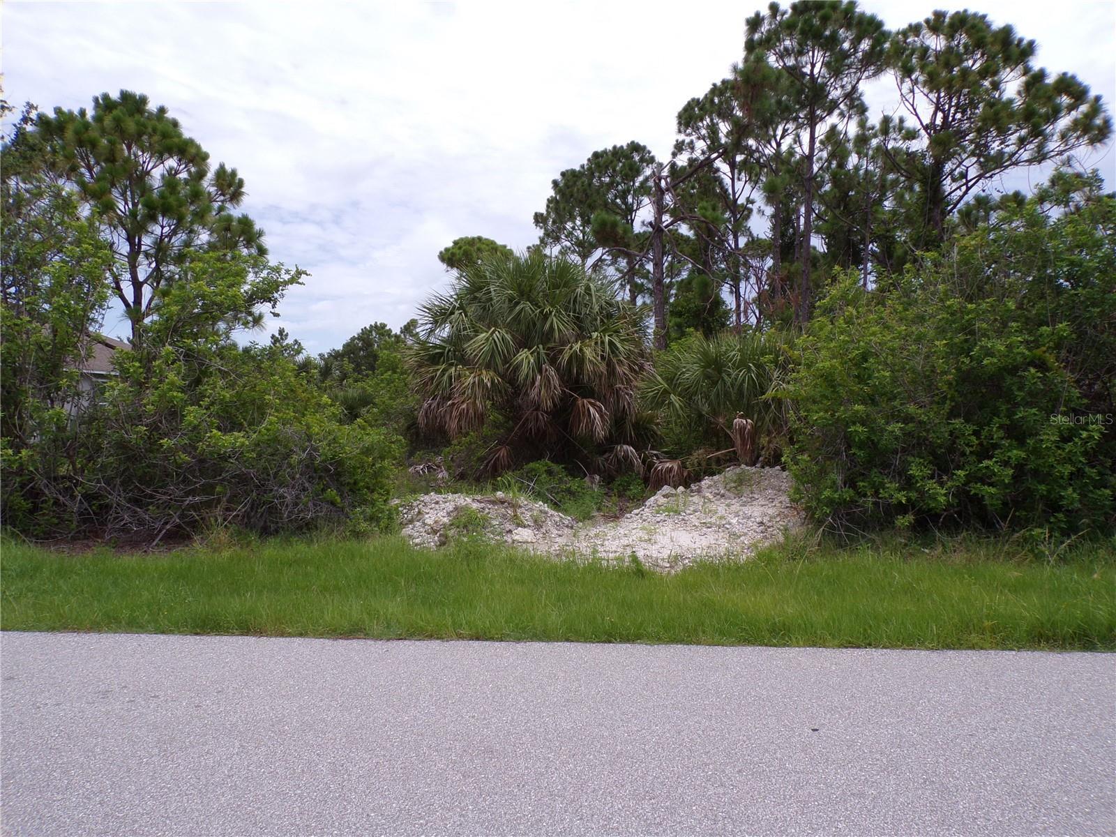 Property Photo:  15126 Amsterdam Avenue  FL 33981 